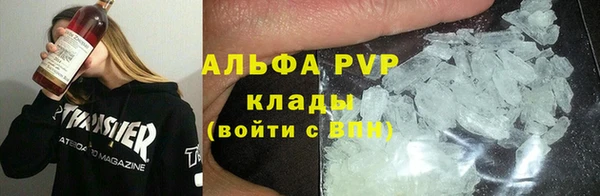 spice Богданович