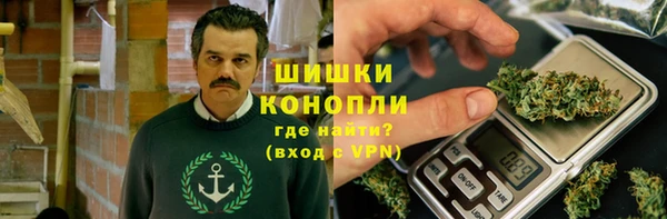 трава Белокуриха
