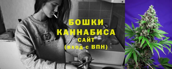 трава Белокуриха