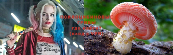 гашик Белоозёрский