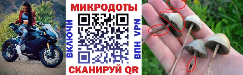 Галлюциногенные грибы MAGIC MUSHROOMS  закладка  Белорецк 